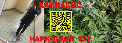 spice Баксан